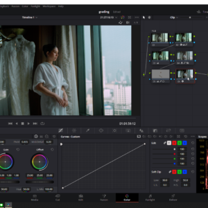Davinci Resolve: Mastering Color Grading